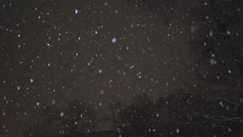 Snow falling at night in low angle view. Stock Footage 229928152