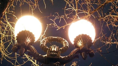 Snow falling by night near a two street lamps Stock Footage 84651453