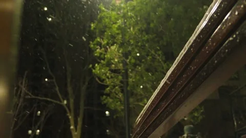 Snow Falling at Night Over Green Trees and Wooden Beam Vidéo 337409054