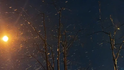 Snow falling in the night sky and tree, weather Stock Footage 125335344