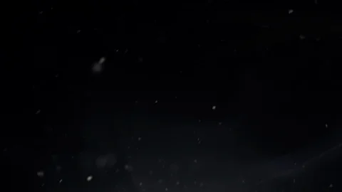 Snow falling at night, in slow motion Stock Footage 89446511
