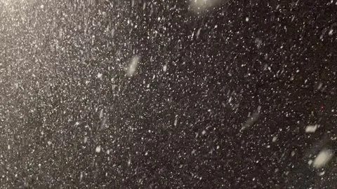 Snow Falling at Night Tight Stock Footage 264512254