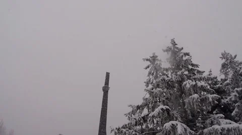 Snow falling on the obelisk monument and conifers Stock Footage 46354991
