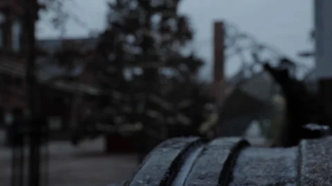 Snow Falling on Object Outside Stock Footage 112950565