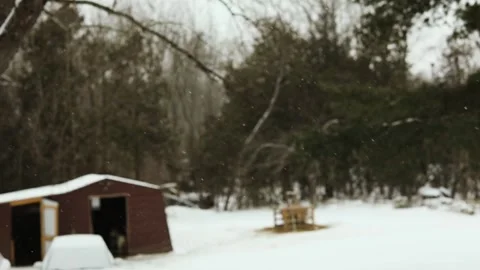 Snow falling in Ontario, Canada. Stock Footage 234145198