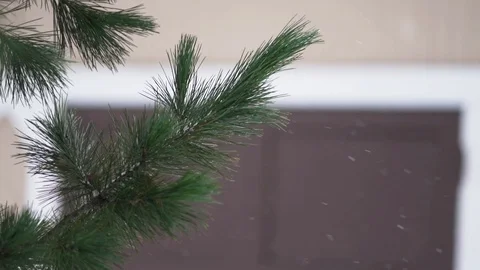 Snow falling outside house or building. Winter storm in yard. Stock Footage 104587358