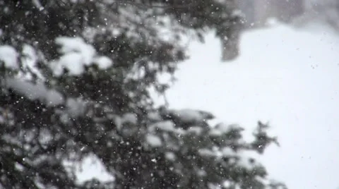 Snow falling outside in Super Slow Motion 動画素材 35400042