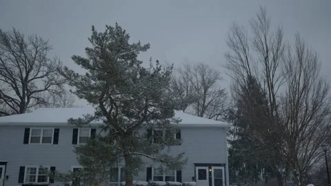 Snow falling outside winter trees condo Video stock 148999897