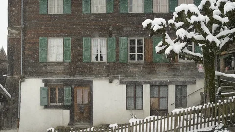 Snow falling over a building and tree in winter Stock Footage 113239705