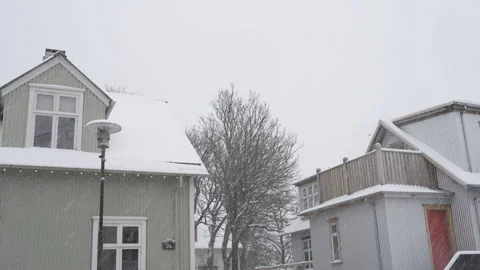 Snow falling over city rooftops and a central tree. Stock Footage 329924683