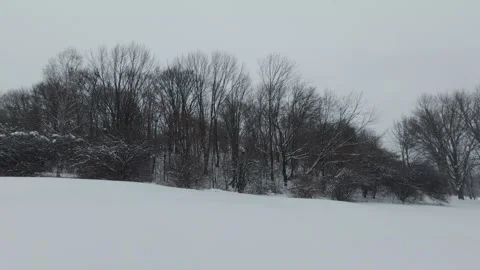Snow Falling Over Empty Park With Leafless Trees Stock Footage 323423392