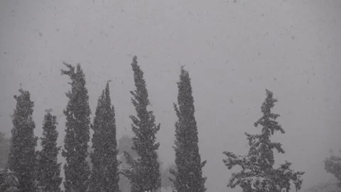 Snow falling over fir trees on a cold winter day slow motion Stock Footage 252083228