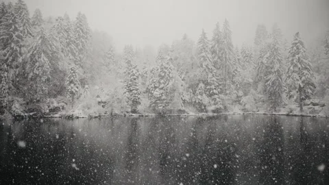 Snow falling over lake surrounded with evergreen trees covered with snow in the Stock Footage 224536894