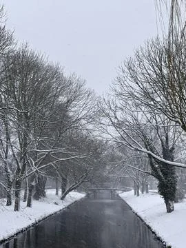 Snow Falling Over Tree-Lined Canal in Amsterdam Foto stock