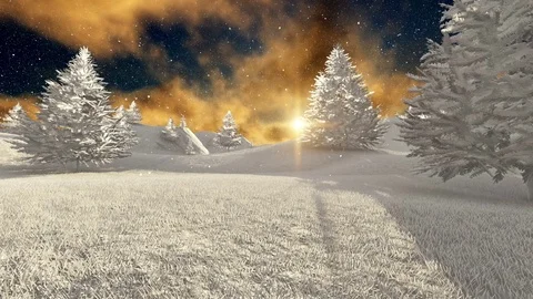 Snow Falling over White Christmas trees at sunset Stock Footage 69922026