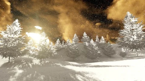 Snow Falling over White Christmas trees Video stock 69922683