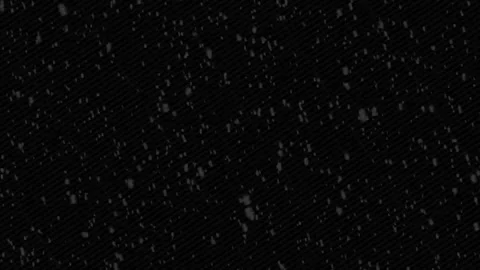 Snow Falling overlay and Snowflakes green screen Background animation. Stock Footage 296525384