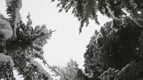 Snow falling overlay, background, template, winter wonderland, snowflakes Stock Footage 239190792