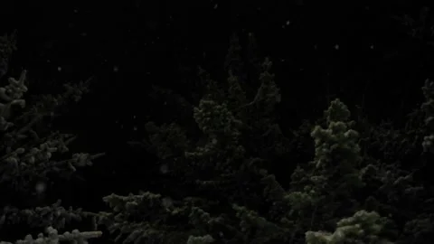 Snow falling overlay, background, template, winter wonderland, snowflakes Stock Footage 239190949