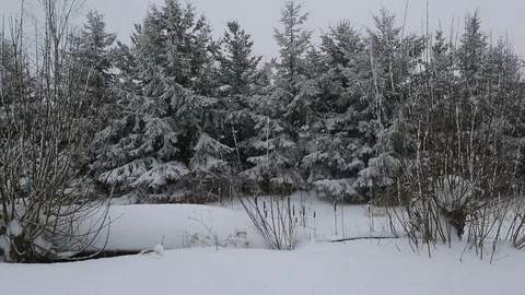 Snow falling on overturned boat in front of trees Stock Footage 77476524