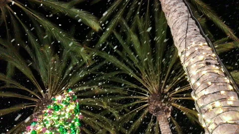 Snow falling on palm trees and Christmas tree illuminated with Christmas lights Stock Footage 140414912