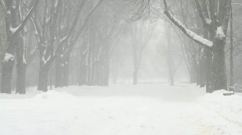 Snow falling in park 1 Stock-Footage 743742