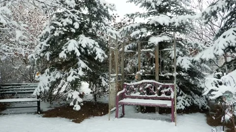 Snow falling on park bench in pine trees-Zoom in Video stock 148445426