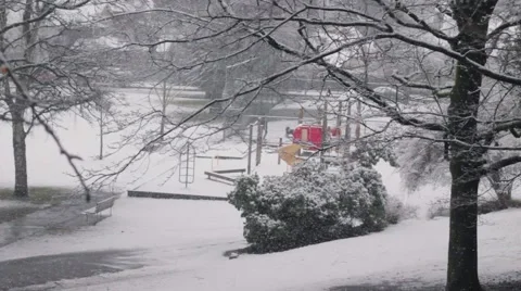 Snow falling in the park Stock Footage 59110398