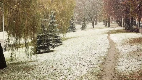 Snow falling in the park Stock Footage 70358534