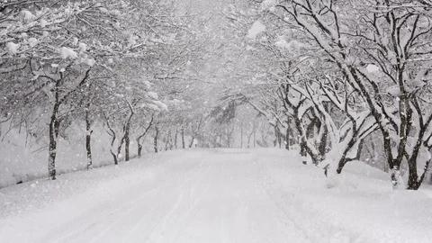 Snow falling in park 스톡 동영상 85077635