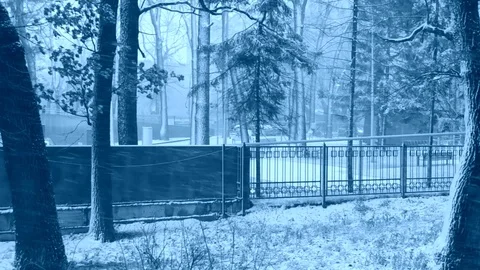 Snow Falling In The Park On Stationary Front View Stock Footage 83915438