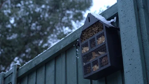 Snow falling past Bee Hive Stock Footage 110857697