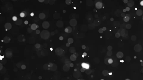 Snow Falling Peacefully on Black Background Winter Overlay Stock Footage 319408316