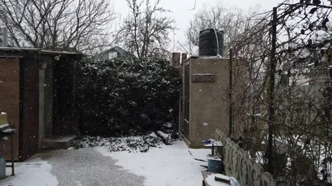 Snow is falling on the personal plot. Winter. Nature. Vídeos de archivo 167503165