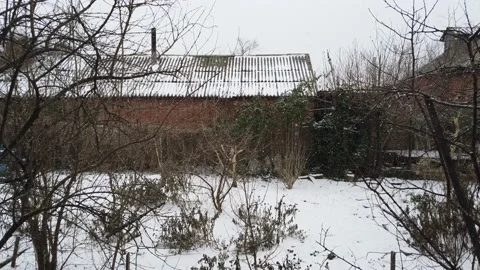 Snow is falling on the personal plot. Winter. Nature. Vídeos de archivo 167503189