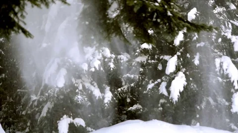 Snow falling from the pinetrees in the mountains Stock-Footage 129421954
