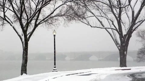 Snow Falling on Potomac River and Memorial Bridge Trees in Foreground.mp4 Video stock 45717873