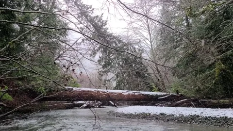 Snow falling on a quiet river surrounded by stunning forest Video stock 166815212