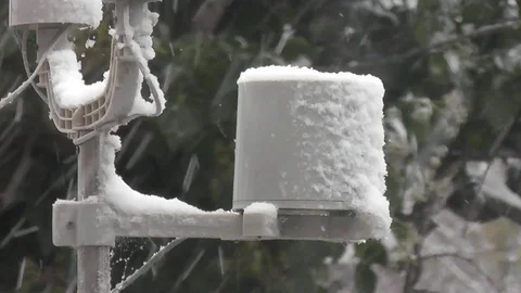 Snow falling onto a rain gauge Stock Footage 92480622