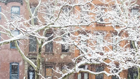 Snow falling in a residential urban neighborhood, Brooklyn New York in 4K Stock Footage