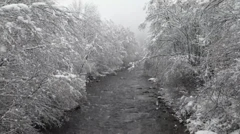 Snow Falling On Riverside Trees Stock Footage 10586623