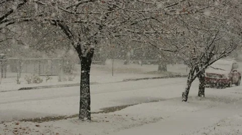 Snow Falling on Road 004184 Video stock 8680473