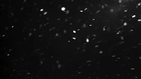 Snow is falling sideways in strong wind in cold winter season Stock Footage 168493249