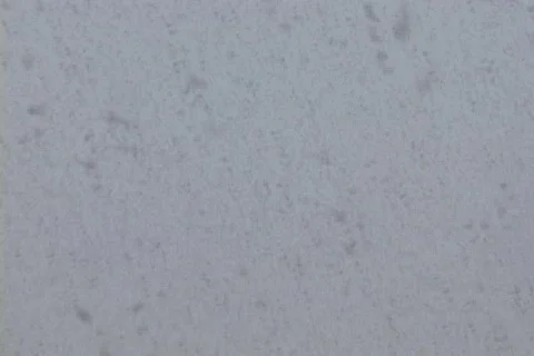 Snow Falling from Sky Stock Footage 311491