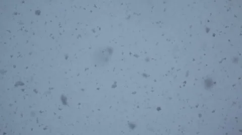 Snow falling from sky Stock Footage 1085168