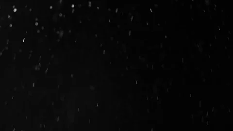 Snow falling from the sky in the night Stock Footage 81987391