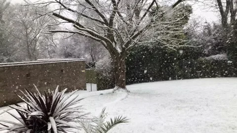 Snow falling in sky with trees and garden in background Video stock 147123852