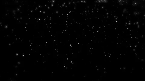 Snow Falling In Slow Motion - 198 Stock Footage 71080598