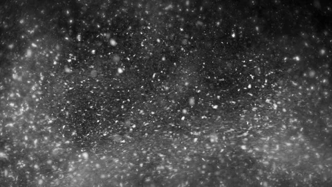 Snow Falling In Slow Motion - 225 Stockbeeldmateriaal 71080652