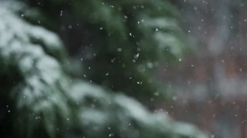 SNOW FALLING IN SLOW MOTION AGAINST AN OUT OF FOCUS TREE WITH SNOW ON IT Stock Footage 126544767